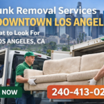 Junk Removal Services in Downtown Los Angeles Junk Removal Services in Downtown Los Angeles
