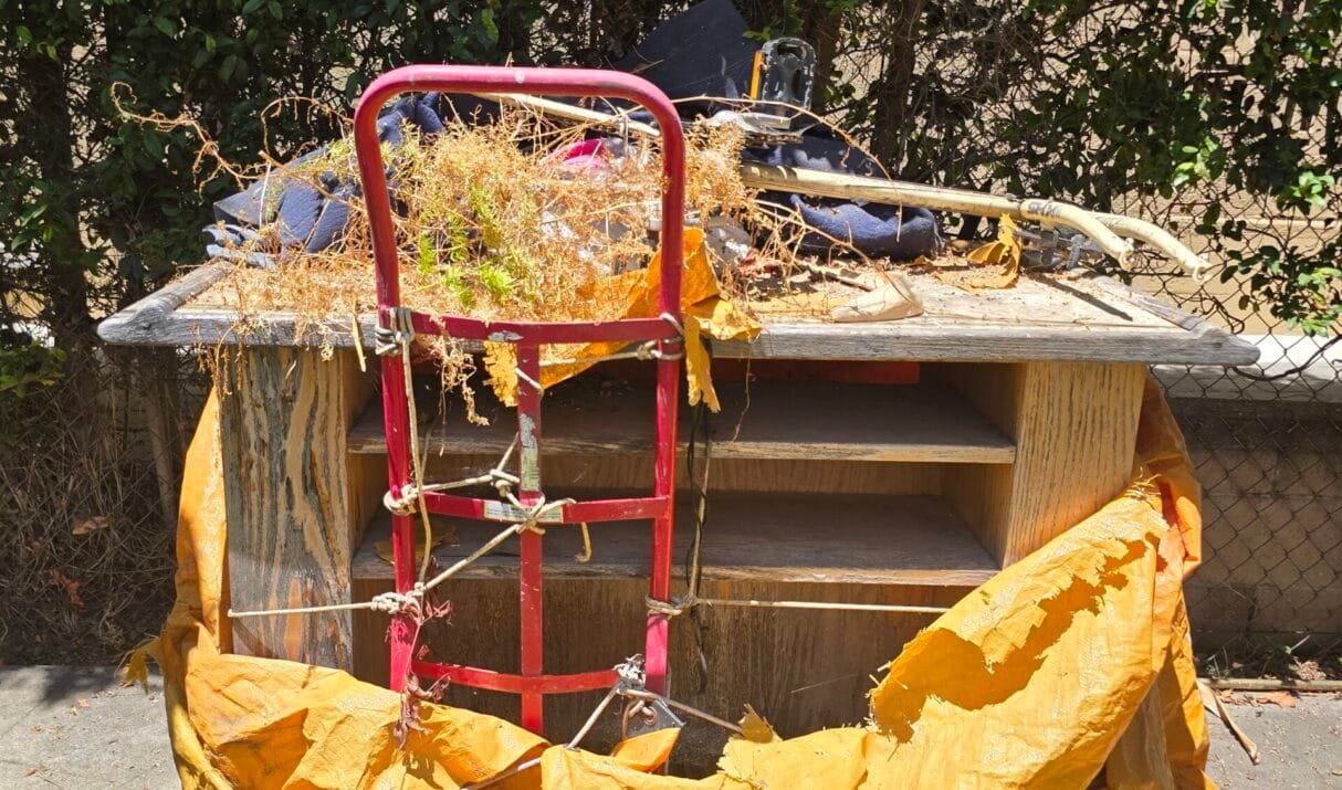 Valet Trash Violation Notice: 7 Things Every Property Manager Should Know