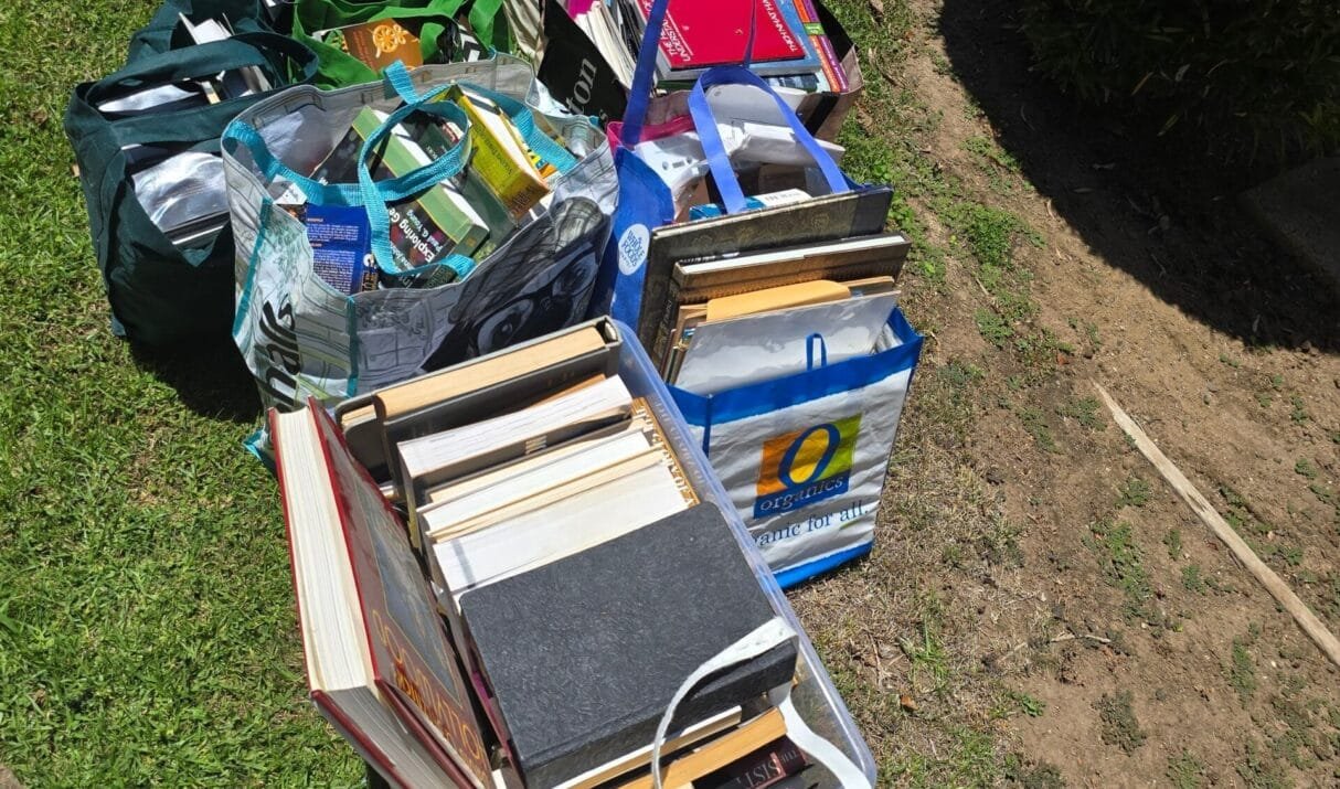 Packing vs. Purging: What Movers Wish You Knew Before Moving Day