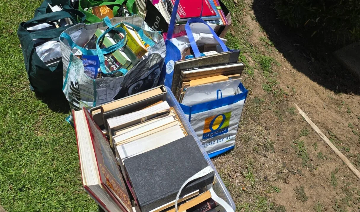 Packing vs. Purging: What Movers Wish You Knew Before Moving Day