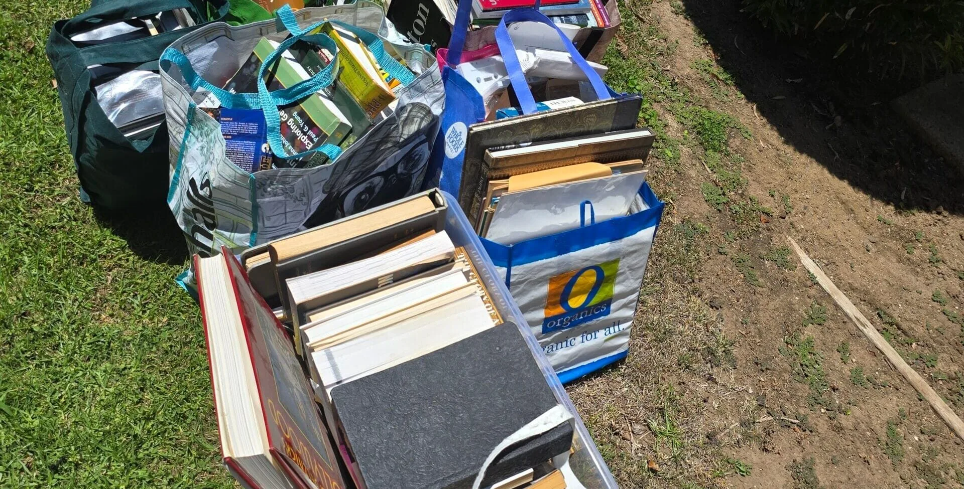 Packing vs. Purging: What Movers Wish You Knew Before Moving Day 1 packing vs purging